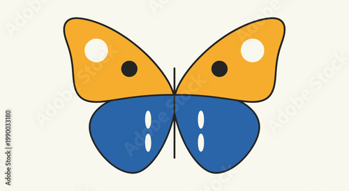 Colorful Butterfly Wings Spread Wide Open.