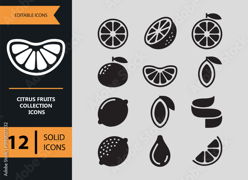 Citrus Fruit Collection Solid Icons Vitamin Fresh Orange Lemon Set
