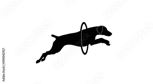 Black silhouette of a dog jumping through an agility hoop