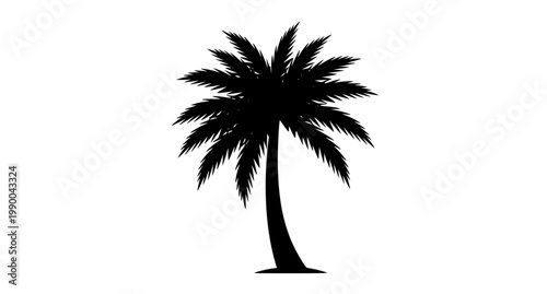 Foto Palm Tree Black Silhouette Icon Vector Illustration Isolated