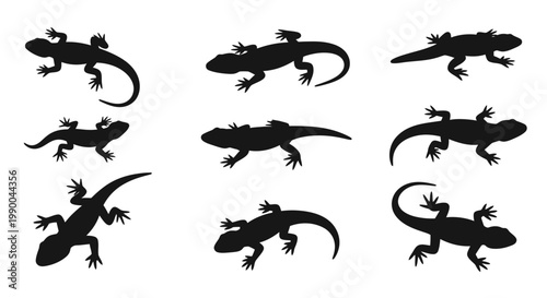Diverse collection of black lizard and gecko silhouettes showcasing various reptile poses, movements, and forms, ideal for nature-themed graphic design and educational resources