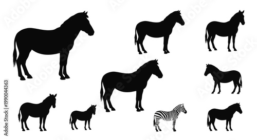 Collection of Horse and Zebra Silhouettes Showcasing Diverse Equine Forms and Patterns