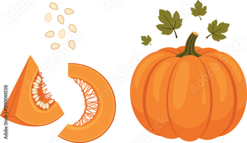 Tableau sur toile Detailed Pumpkin Set with Whole, Sliced, Seeds, and Leaves for Halloween, Autumn