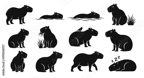 Explore the relaxed lifestyle and various behaviors of capybaras through this versatile concept collection of expressive black silhouettes, illustrating their natural habitat activities