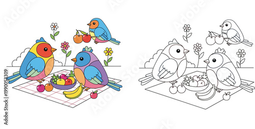 Cartoon birds having a picnic with fruits, colorful and black and white line art versions for kids' coloring page.
