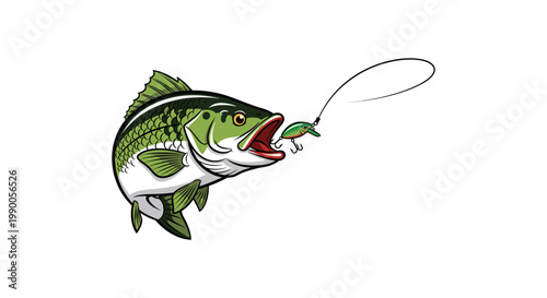 Largemouth bass fish biting a fishing lure on a white background