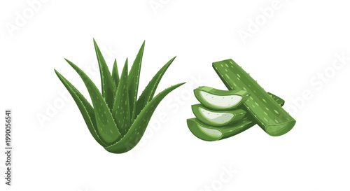 Aloe vera plant and sliced leaves isolated on a white background, for skincare and, health concepts
