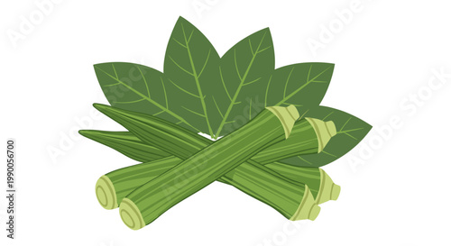Fresh green okra pods arranged with leaves in a culinary on a white background