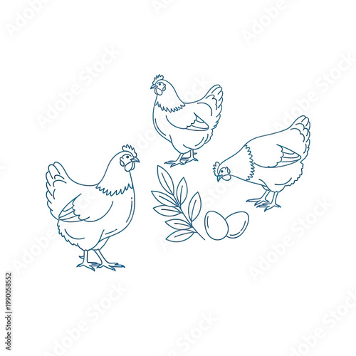 Three blue chickens standing together isolated on transparent background