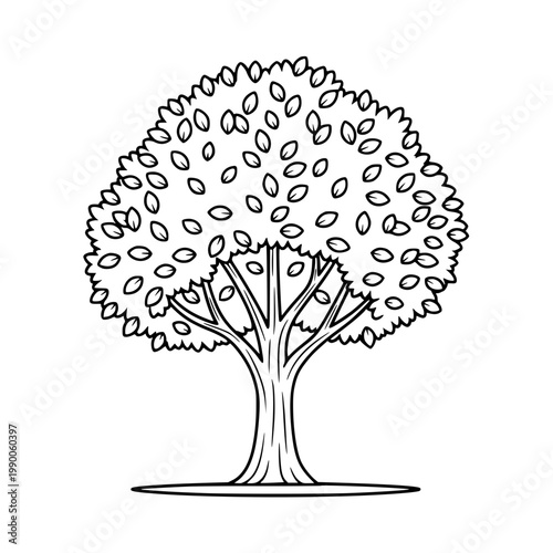 A tree with a large canopy and many leaves Vector, illustration