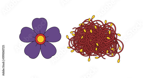 Purple flower blossom and a pile of red saffron threads isolated on a white background