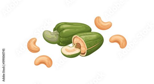 Raw cashew nuts with green cashew apples and shelled kernels isolated on a white background