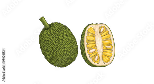 Whole and sliced jackfruit tropical fruit with green spiky skin and yellow flesh