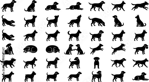 Diverse animal silhouettes standing walking sitting bird
