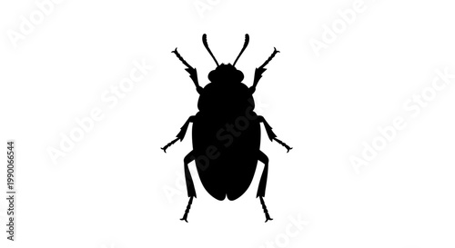 Black Beetle Silhouette Illustration on White Background