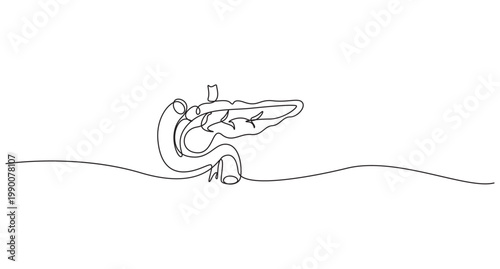 continuous one line drawing Pancreas vector illustration. line art,Human pancreas one line art. Continuous line drawing of human, internal, organs, pancreas,