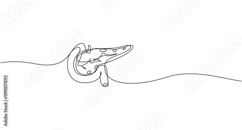 continuous one line drawing Pancreas vector illustration. line art,Human pancreas one line art. Continuous line drawing of human, internal, organs, pancreas,