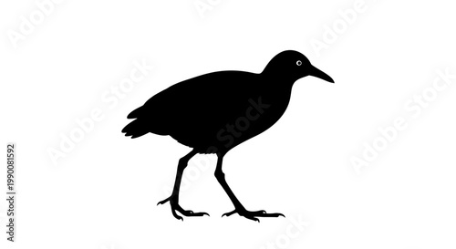 Black bird silhouette walking profile view isolated on white
