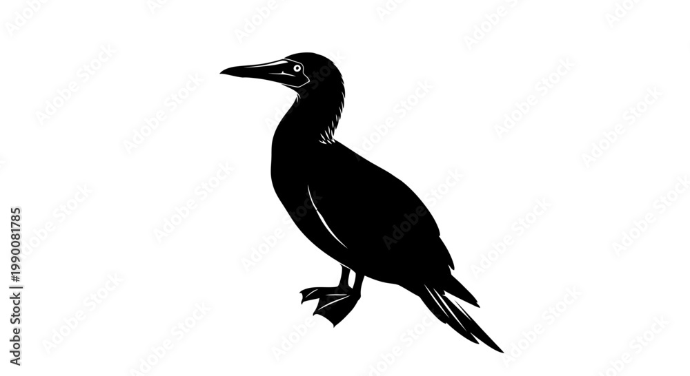 Fototapeta premium Black silhouette vector illustration of a standing booby seabird