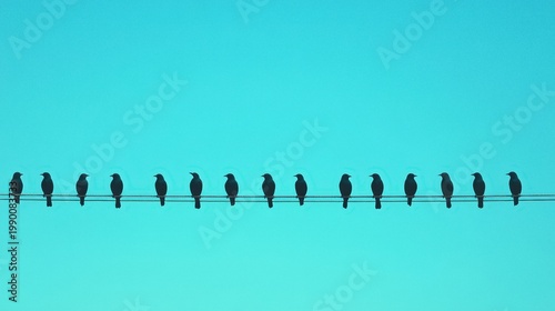 silhouette of birds perched on a power line against blue sky
