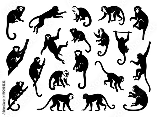 A collection of vector illustration silhouettes of playful monkeys engaged in various activities and poses, showcasing their agility and a glimpse into their natural behaviors