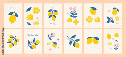 Citrus fruits abstract poster. Contemporary print with hand drawn lemon, leaves and flowers. Italian summer vacation. La dolce vita elegant design for card, banner, wall art, cover, menu.