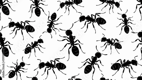 A striking pattern of black ants, showcasing their intricate shapes and movements against a clean white background.