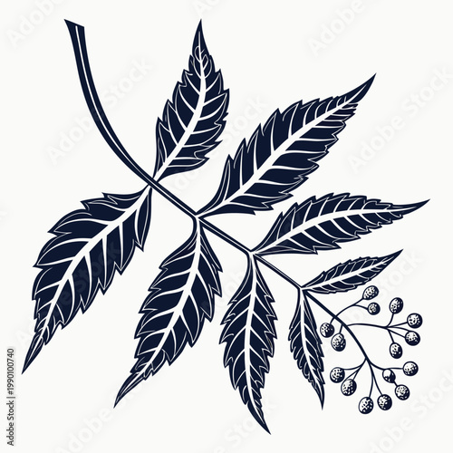 neem leaf silhouette vector illustration on white background
