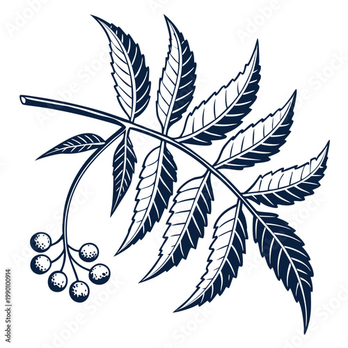 neem leaf line art art vector on white