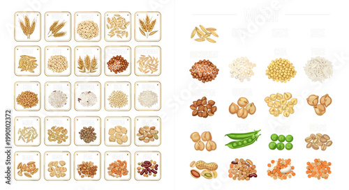 Legumes and Nuts Collection Set with Black Eyed Peas Lentils Kidney Beans Peanut Pistachio Coconut and Seeds for Food Design