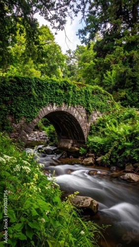 Ancient ivy covered stone arch bridge over flowing stream in lush summer woodland, peaceful garden scenery, forest landscape, tranquil nature photography