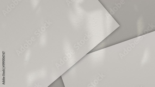 Shadow grey background wall light white overlay abstract plant 4k backdrop mockup minimal summer wallpaper, blur nature spring autumn orange video vintage light branching floral,card holidays.