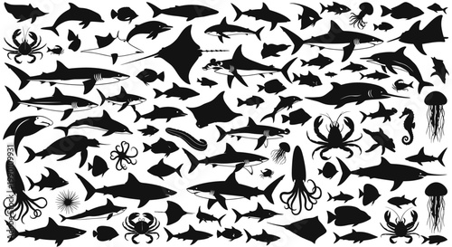 Black silhouettes of various sea creatures.