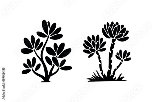 Succulent plant silhouettes vector icon collection featuring variety of succulent species botanical shapes for garden and nature design projects