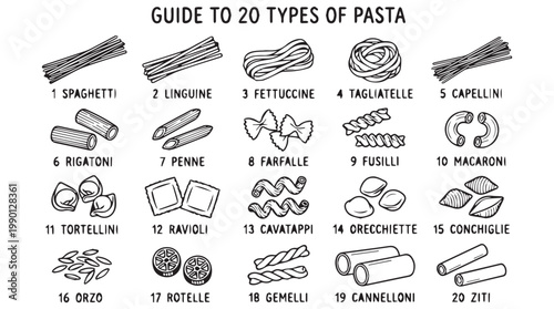 Guide to 20 types of pasta vector illustration