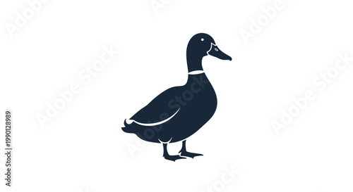 Mallard duck silhouette isolated on white background representing pond life and waterfowl in nature conservation areas.