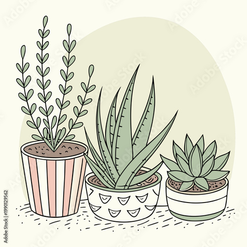 Potted succulents and plants illustration