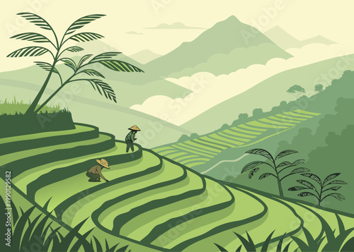 Farmers working on terraced rice fields landscape