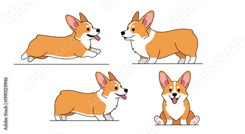 Set of four adorable corgi dog illustrations in various poses like sitting and running for pet and animal lovers.