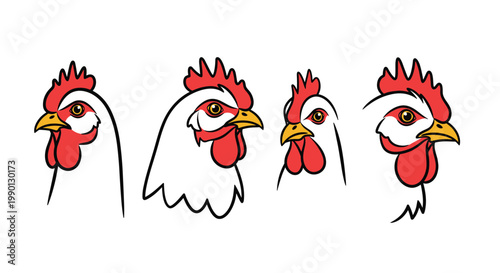 Four different illustrations of chicken or rooster heads showing various angles and red combs on a white background.