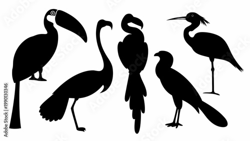 Diverse collection of exotic bird silhouettes featuring a toucan flamingo heron and other tropical avian species in stylized vector art perfect for design projects