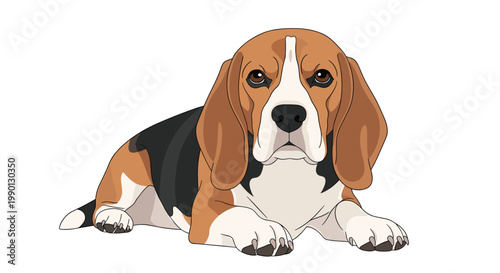 Realistic illustration of a beagle dog lying down with its long ears and expressive brown eyes looking at the viewer on a white background.