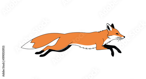 Illustration of a red fox running in full stride with its tail out against a white background, perfect for wildlife and forest animal themes.