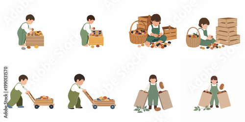 Collection of minimalist flat vector illustrations depicting a young child engaged in various potato harvesting activities like sorting, carrying, and packing.