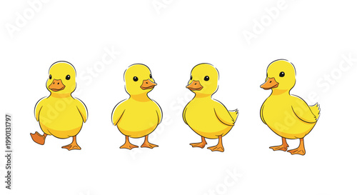 Collection of four adorable yellow ducklings in various standing and walking poses isolated on a clean white background.