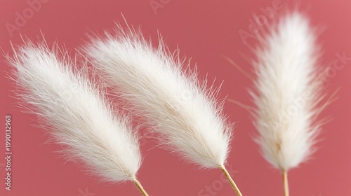 Wallpaper Mural Generative AI, White Bunny Tail Grass Dried Botanical Muted Rose Pink Background Torontodigital.ca