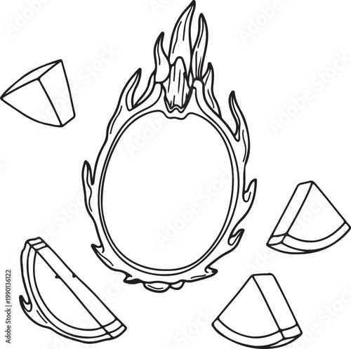 Dragon Fruit Slice and Halves Outline Illustration Vector Healthy Exotic Fruit