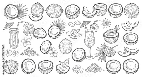 Hand drawn black and white sketches of coconuts in different states including whole and halved with slices and tropical cocktails for summer.