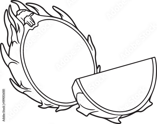 Dragon Fruit Slice Outline Drawing Exotic Tropical Fruit Cut Halved Simple Line Art