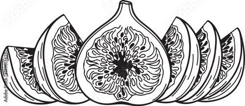 Fresh Figs Cut In Half and Sliced On White Background Line Art